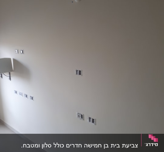 קיר צבוע בצבע בהיר עם שקעים חשמליים
